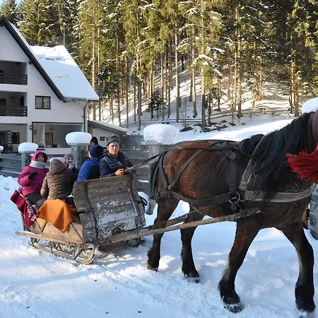 Perla Padurii Valea Mare (Bistrita-Nasaud)