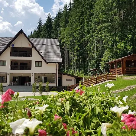 Perla Padurii בית הארחה Valea Mare (Bistrita-Nasaud)